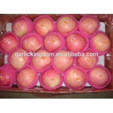 Pomme fruits / Meilleur prix pomme / Grossiste pomme fruit